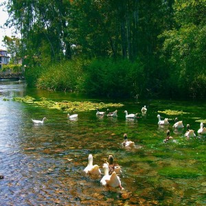 Marmaris Akyaka Marmaris Akyaka