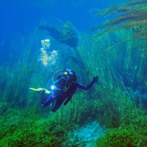 Marmaris Akyaka Marmaris Akyaka