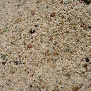 Marmaris Kleopatra Tekne Turu