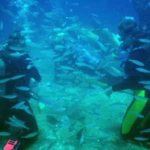 Marmaris Dalış Turu Marmaris Dalış Turu